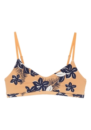 The Upside Aruba Ballet sport bra - Yellow