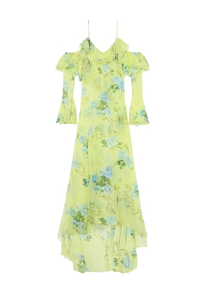 Blumarine ruffled floral maxi dress - Green