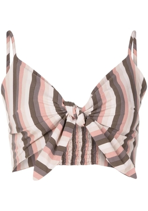 Amir Slama striped crop top - Neutrals