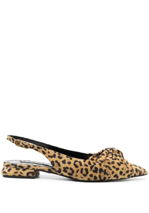 Roberto Cavalli 27mm Le Pettegole leopard-print pumps - Brown
