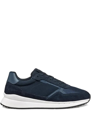 Geox Branthon suede sneakers - Blue