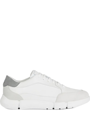 Geox U Adacter leather suede panel trainers - White