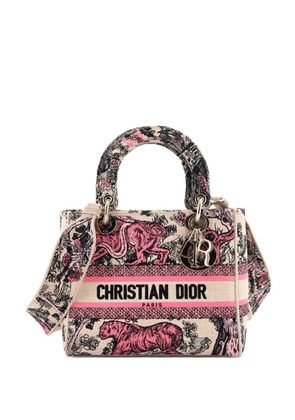 Christian Dior Pre-Owned Lady D-Lite Bag Embroidered Raffia Medium satchel - Neutrals