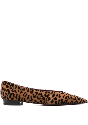 Roberto Festa pointed leopard-print ballet flats - Brown