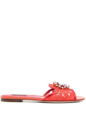 Dolce & Gabbana brooch-detail lace slides - Red