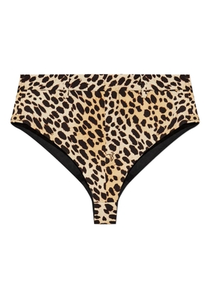 DSQUARED2 x Bettter animal print shorts - Neutrals