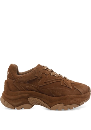 Ash suede sneakers - Brown
