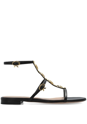 Gianvito Rossi Kalinda sandals - Black