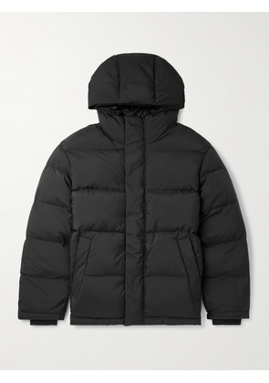 NN07 - Matthew 8245 Quilted Padded Recycled-Shell Hooded Jacket - Men - Black - S