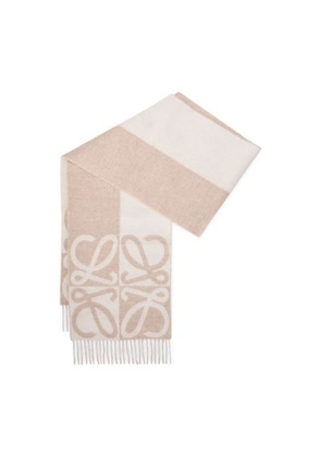 Wool and cashmere scarf