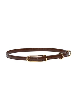 3-buckle belt