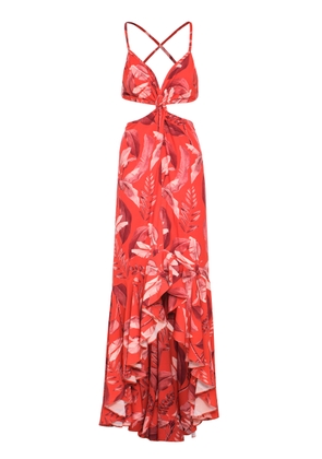 Andres Otalora La Sierpe Cutout Printed Crepe Maxi Dress - Moda Operandi