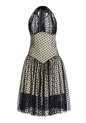 Tae Park My Prom Dress - Moda Operandi