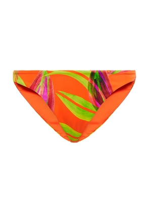 Louisa Ballou Printed bikini bottoms