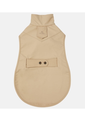 Loro Piana My Doggie cotton dog coat