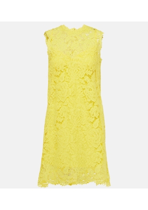 Dolce&Gabbana Cotton-blend lace minidress
