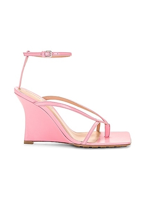 Bottega Veneta Stretch Ankle Strap Wedge Sandal in Blossom - Pink. Size 35 (also in 35.5, 36.5, 37.5, 38.5, 39, 40, 37, 39.5, 41).