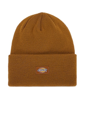 Dickies Tall Beanie in Brown Duck - Brown. Size all.