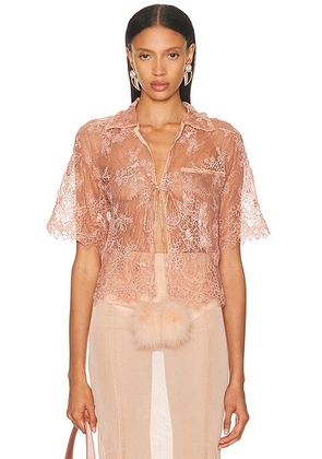 Blumarine Short Sleeve Lace Blouse in Eyeshadow Pink - Pink. Size 36 (also in 38, 42).