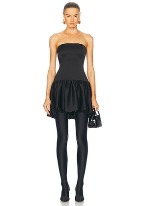 Beaufille Maro Dress in Black - Black. Size 0 (also in 2, 4, 6, 8).