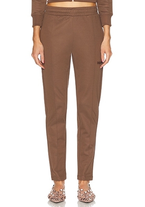 THE ATTICO Long Pant in Brown - Chocolate. Size 38 (also in 44).