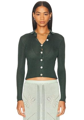 Calle Del Mar Long Sleeve Cardigan in Pine - Dark Green. Size L (also in S, M).