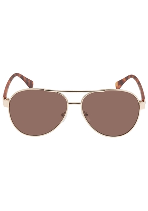 Calvin Klein Brown Pilot Mens Sunglasses CK19316S 717 60