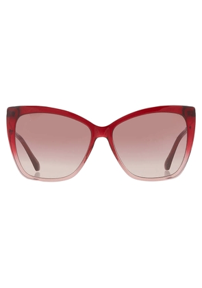 Jimmy Choo Burgundy Gradient Cat Eye Ladies Sunglasses SEBA/S 07W5/3X 58
