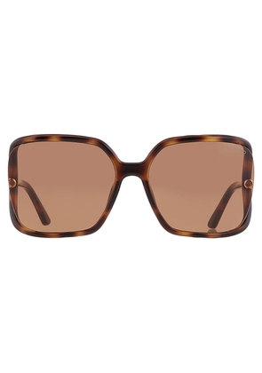 Tom Ford Solange Brown Butterfly Ladies Sunglasses FT1089 52E 60
