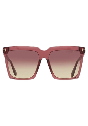 Tom Ford Sabrina Bordeaux Gradient Square Ladies Sunglasses FT0764 69T 58
