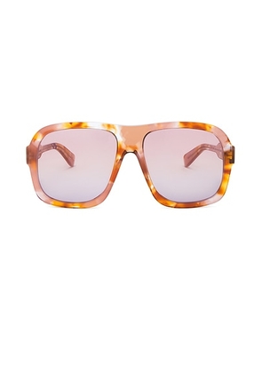 Chloe Gayia Sunglasses in Havana & Red. Size all.