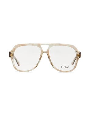 Chloe Shield Eyeglasses in Havana & Transparent - Beige. Size all.