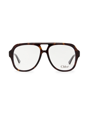 Chloe Shield Eyeglasses in Havana & Transparent - Brown. Size all.