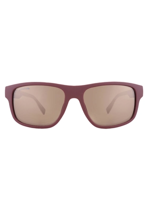 Lacoste Brown Square Mens Sunglasses L6057S 601 57