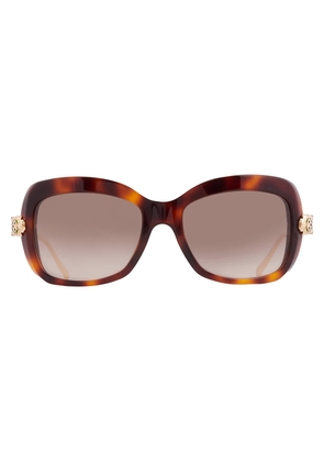 Cartier Panthere de Cartier Brown Butterfly Ladies Sunglasses CT0215S 002 55