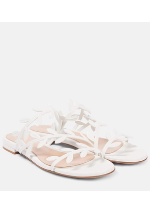 Gianvito Rossi Flavia leather slides