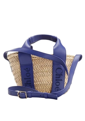 Chloe Small Sense Raffia Tote Bag