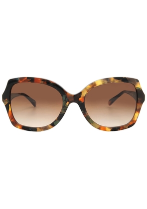 Coach Brown Gradient Butterfly Ladies Sunglasses HC8410U 584474 56