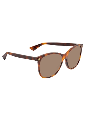 Gucci GG0024 Brown Oval Ladies Sunglasses GG0024S 002 58