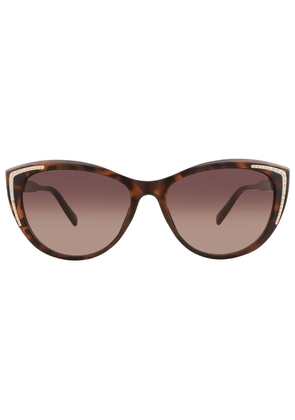 Guess Factory Brown Gradient Cat Eye Ladies Sunglasses GO00006 52F 56