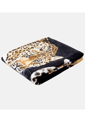 Dolce&Gabbana Casa Leopardo cotton beach towel