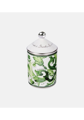 Dolce&Gabbana Casa Majolica porcelain scented candle