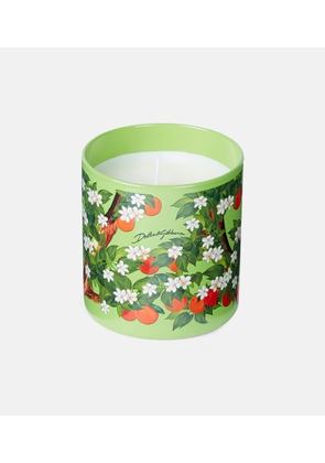 Dolce&Gabbana Casa Arancio Di Sicilia scented candle