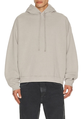 AGOLDE Salford Hoodie in Reflect - Grey. Size L (also in S, M, XL/1X).