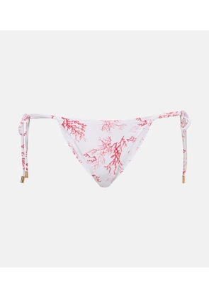 Melissa Odabash Miami bikini bottoms