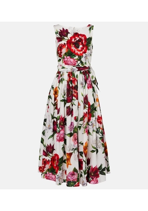 Dolce&Gabbana Floral cotton poplin midi dress