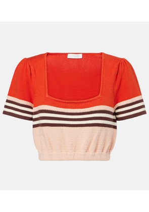 Zimmermann Ascension knitted cotton-blend top