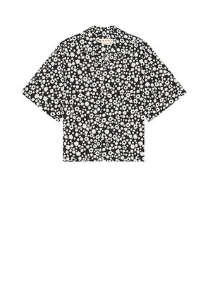 Marni Button Down Shirt in Black - Black. Size 46 (also in 50).