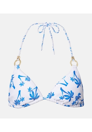 Heidi Klein Palm Beach printed bikini top