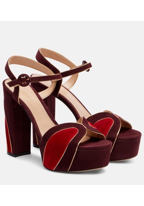 Gianvito Rossi 125 suede platform sandals